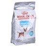 ROYAL CANIN Mini Urinary Care CCN - sucha karma dla psa - 1kg