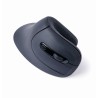 Gembird MUSW-ERGO-03 myszka Dom Po prawej stronie RF Wireless Optyczny 1600 DPI