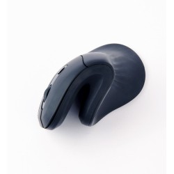 Gembird MUSW-ERGO-03 myszka Dom Po prawej stronie RF Wireless Optyczny 1600 DPI