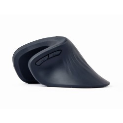 Gembird MUSW-ERGO-03 myszka Dom Po prawej stronie RF Wireless Optyczny 1600 DPI