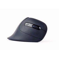 Gembird MUSW-ERGO-03 myszka Dom Po prawej stronie RF Wireless Optyczny 1600 DPI