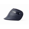 Gembird MUSW-ERGO-03 myszka Dom Po prawej stronie RF Wireless Optyczny 1600 DPI
