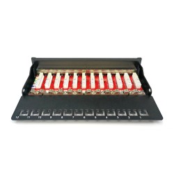 Digitus Panel krosowy (patch panel) desktop (biurkowy) 12x RJ45, LSA poziom, kat.6A, ekranowany, czarny, prowadnica kabli