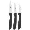 ZWILLING Set of knives Stal nierdzewna Nóż domowy