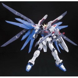 RG 1/144 FREEDOM GUNDAM