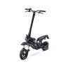Acer PES017 skuter elektryczny 1 siedz. 900 W Czarny