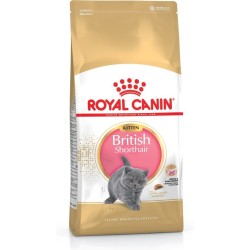 ROYAL CANIN FBN British Shorthair Kitten - sucha karma dla kociąt - 10kg