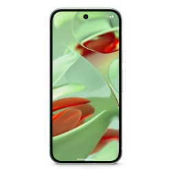 Telefon komórkowy Pixel 9 256GB/Wintergreen Google