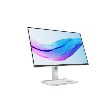 Lenovo L24m-4A 23.8"FHD IPS 100Hz 250nits AG HDMI DP USB Cloud Grey