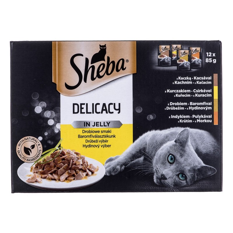 SHEBA Delicacy in Jelly Smaki Drobiowe - mokra karma dla kota - saszetka - 12x85 g