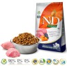 FARMINA N&D Pumpkin Lamb & Blueberry Adult Medium & Maxi - sucha karma dla psa - 12kg