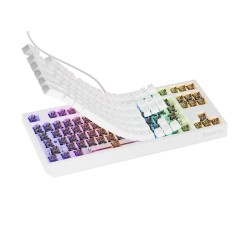 GENESIS Thor 230 TKL klawiatura USB + RF QWERTY