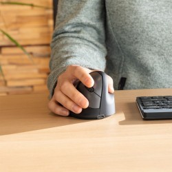 R-Go Tools Ergonomiczna mysz R-Go HE