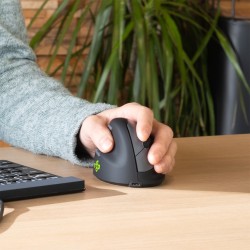R-Go Pele HE ergonomiczna myszka lewa Bluetooth sidabrina