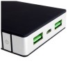 Power Bank PowerNeed P10000B (10000mAh microUSB, USB 2.0 kolor czarny)