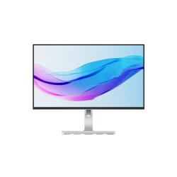 Lenovo L24m-4A 23.8"FHD IPS 100Hz 250nits AG HDMI DP USB Cloud Grey