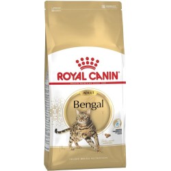 ROYAL CANIN Bengal Adult - sucha karma dla dorosłego kota - 2 kg