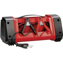 PROSTOWNIK AEG LT20 12V/24V, 20A