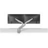 Neomounts DS70-250SL2 uchwyt / stojak do monitorów 81,3 cm (32") Biurko Srebrny