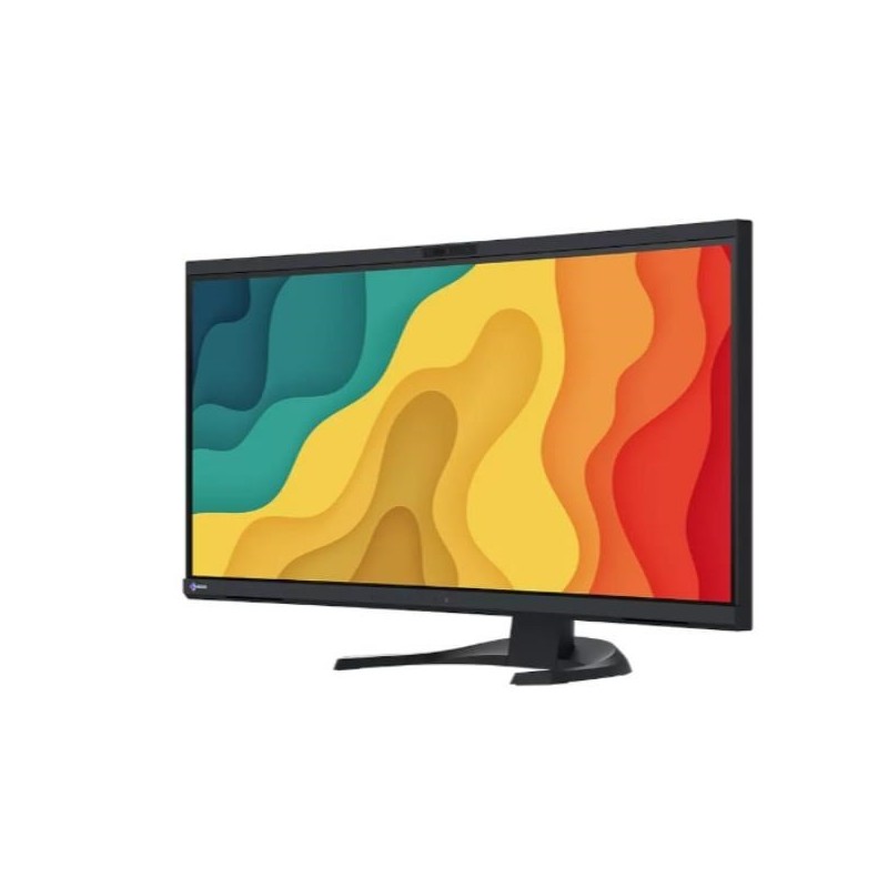 Monitor EIZO FlexScan EV3450XC-BK 34.1" - Płaski ekran - 86.6 cm