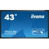 Płaski panel interaktywny Iiyama T4362AS-B1 - 108 cm (42.5") - IPS - 3840 x 2160 pikseli - 24/7
