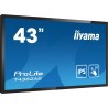 Płaski panel interaktywny Iiyama T4362AS-B1 - 108 cm (42.5") - IPS - 3840 x 2160 pikseli - 24/7