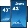 Płaski panel interaktywny Iiyama T4362AS-B1 - 108 cm (42.5") - IPS - 3840 x 2160 pikseli - 24/7