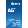 Monitor IIYAMA 164,0 cm (65") LH6541UHS-B1AG 16:9 3xHDMI+USB IPS