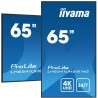 Monitor IIYAMA 164,0 cm (65") LH6541UHS-B1AG 16:9 3xHDMI+USB IPS