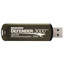 Pendrive Kanguru Defender 3000 - 64 GB - USB Type-A - 3.2 Gen 1 (3.1 Gen 1) - Zaślepka - 38 g - Brązowy