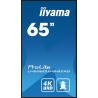 Monitor Iiyama 65 LH6560UHS-B2AG z HDMI i USB