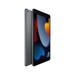 APPLE IPAD WI-FI 9. GENERACJI 256GB 10,2''