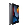 APPLE IPAD WI-FI 9. GENERACJI 256GB 10,2''