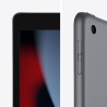 APPLE IPAD WI-FI 9. GENERACJI 256GB 10,2''