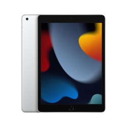 Apple iPad 10,2" Wi-Fi 256GB Srebrny (9. generacji)