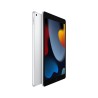 Apple iPad 10,2" Wi-Fi 256GB Srebrny (9. generacji)