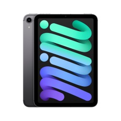 Apple iPad mini Wi-Fi + Cellular 256 GB gwiezdna szarość (2021)