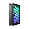 Apple iPad mini Wi-Fi + Cellular 256 GB gwiezdna szarość (2021)