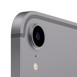 Apple iPad mini Wi-Fi + Cellular 256 GB gwiezdna szarość (2021)