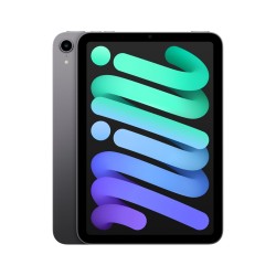 Apple iPad mini Wi-Fi 256 GB gwiezdna szarość (2021)