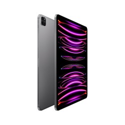 Apple iPad Pro 12,9" Wi-Fi + Cellular 1 TB gwiezdny szary (2022)