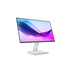 Lenovo L24i-4A 23,8"FHD IPS 100Hz 250nits AG HDMI, VGA Cloud Grey