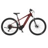 Rower elektryczny Fischer Montis 7.0I 29" - 49 cm