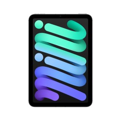 Apple iPad mini 5G TD-LTE & FDD-LTE 256 GB 21,1 cm (8.3") Wi-Fi 6E (802.11ax) iPadOS 18 Szary