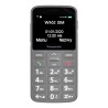 TELEFON KOMÓRKOWY PANASONIC KX-TU160EXG SZARY