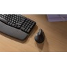 Logitech Lift myszka Po prawej stronie RF Wireless + Bluetooth Optyczny 4000 DPI