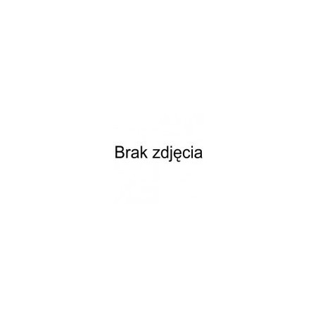 Techly ICA-LCD 316S uchwyt / stojak do monitorów 109,2 cm (43") Biurko Czarny