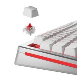 Glorious Gaming GLO-KB-ACC-SWT-FOX-LUBED-110 części do urządzeń wejściowych Przełączniki klawiatury