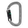 Petzl Am’D Zapięcie z blokadą W kształcie litery D Aluminium Szary 1 szt.