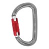 Petzl Am’D Zapięcie z blokadą W kształcie litery D Aluminium Szary 1 szt.